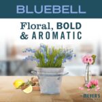 MRS. MEYER'S CLEAN DAY Liquid Dish Soap, Biodegradable Formula, Bluebell, 16 fl. oz - Pack of 3 - Image 4