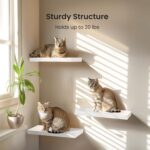 AMADA HOMEFURNISHING Floating Shelves, Wall Shelves for Bathroom/Living Room/Bedroom/Kitchen Decor, White Shelves with Invisible Brackets Set of 3 - AMFS08 - Image 5