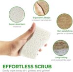 Natural Kitchen Sponge - Biodegradable Compostable Cellulose and Coconut Scrubber Sponge - Pack of 12 Eco Friendly Sponges for Dishes - Image 8