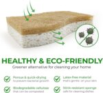 Natural Kitchen Sponge - Biodegradable Compostable Cellulose and Coconut Scrubber Sponge - Pack of 12 Eco Friendly Sponges for Dishes - Image 4