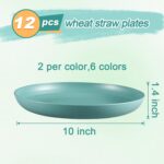 12 Pcs Unbreakable Deep Dinner Plates Set, 10 inch Reusable Plastic Wheat Straw Plates, Microwave and Dishwasher Safe Plate for Kitchen, Lightweight Plate for Dessert, BPA Free, 6 Colors - Image 3