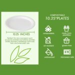 Vplus 150 Pack Compostable Disposable Paper Plates 10.25 inch Super Strong Paper Plates 100% Bagasse Natural Biodegradable Eco-Friendly Sugarcane(white) - Image 3