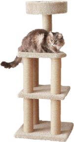 Amazon Basics Cat Tree - Indoor Cat & Kittens Multi-Level Climbing Activity Tower with Scratching Posts, Large (45.9"H) - Beige - Image 2