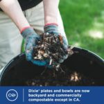 Dixie Small Paper Bowls, 10 Oz, 72 Count, Microwave-Safe, Soak-Proof, Disposable Bowls Great For Snacks, Dessert, And Light Lunch Meals - Image 6