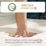 NapQueen Twin Size, 6 Inch Anula Green Tea Infused Memory Foam Mattress, Bed in a Box, CertiPUR-US Certified - Image 4