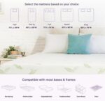 NapQueen Twin Size, 6 Inch Anula Green Tea Infused Memory Foam Mattress, Bed in a Box, CertiPUR-US Certified - Image 10