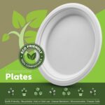 100% Compostable Paper Plates 150 Pack, 10 Inch Heavy Duty Biodegradable Microwavable Disposable White Dinner Plates, Made of Eco-Friendly, Natural Sugarcane Bagasse - Image 3