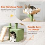 PETEPELA Cactus Cat Tree for Indoor Cats, 32'' Small Cat Tower Cat Condo with Sisal Scratching Ramp, Cozy Hammock and Removable Top Bed Perch for Kittens, Green - Image 4