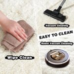 5x7ft Fluffy Fuzzy Area Rug for Living Room Bedroom, Ultra Soft Rugs for Living Room, Modern Shaggy Carpets Rug for Boys Girls Dorm Nursery Home Decor Aesthetic, Upgrade Non-Slip Durable, Cream White - Image 5