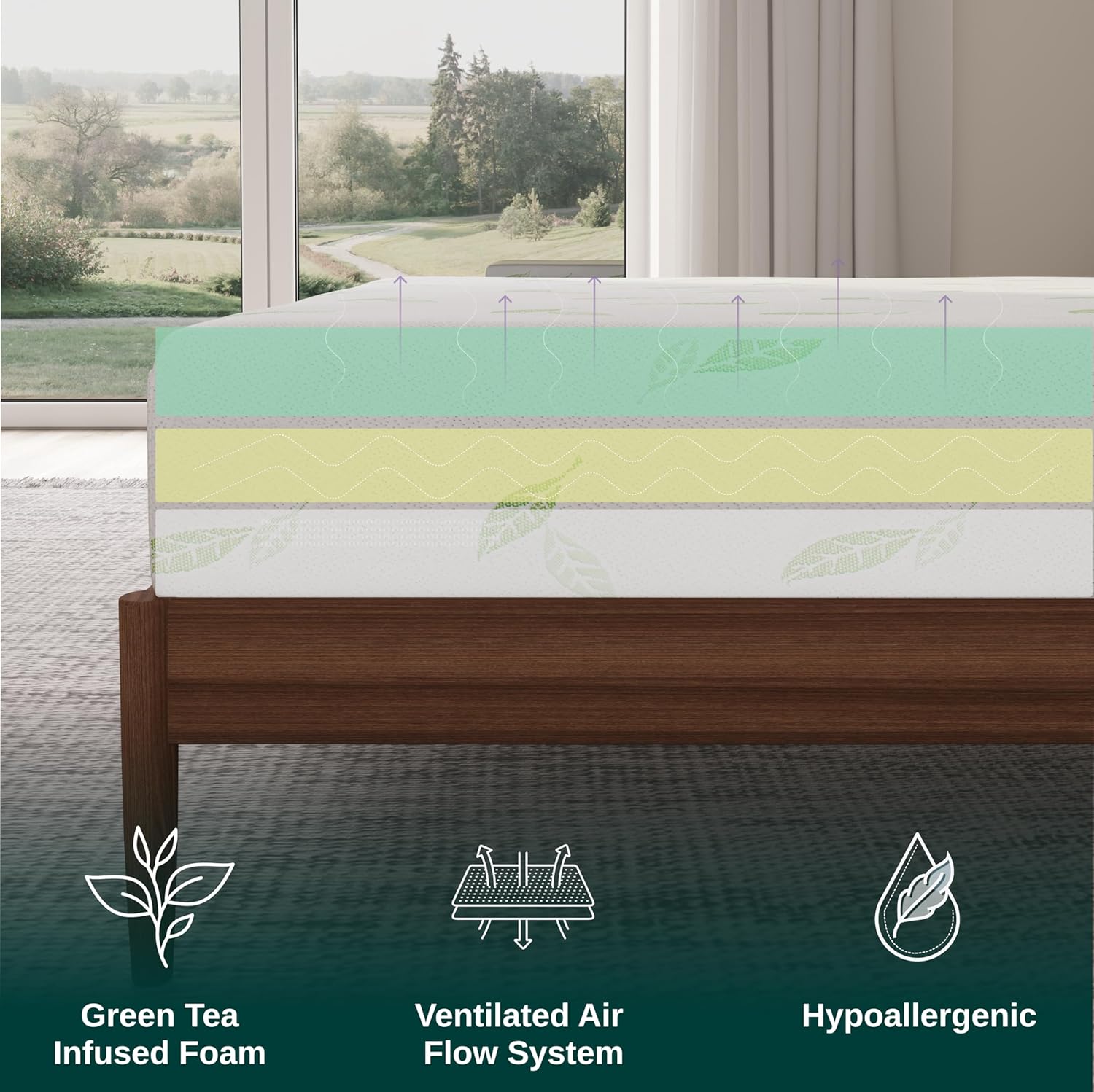 81qpFSXGERL._AC_SL1500_.jpg NapQueen Twin Size, 6 Inch Anula Green Tea Infused Memory Foam Mattress, Bed in a Box, CertiPUR-US Certified - Image 5