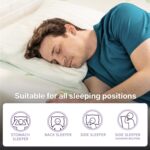 NapQueen Twin Size, 6 Inch Anula Green Tea Infused Memory Foam Mattress, Bed in a Box, CertiPUR-US Certified - Image 6