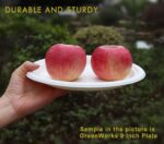 GreenWorks 100 Count 6“ Small Compostable Dessert Plates, Heavy-duty Unbleached Biodegradable Bagasse and Bamboo fiber Paper Plates - Image 3