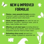 Molly's Suds Liquid Dish Soap | Clean, Simple Ingredients | Extra Scrubbing Power | Citrus Scent, 24 oz - 2 Pack - Image 4