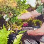 Anyumocz 60 Pcs 1 Gallon Flexible Plant Nursery Pots,Thickened Soft Plastic Seedling Pot with Holes,Flower Plant Container for Succulents,Cuttings,Transplanting,Home Garden(Black) - Image 8