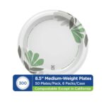Dixie 8 1/2 Inch Medium-Weight Disposable Paper Plates, Pathways, 300 Count, Bulk Case, 6 Packs/50 Count Per Pack, (Georgia-Pacific #UX9P300) - Image 3