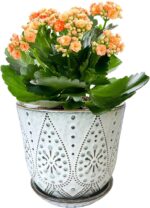 Gepege 6 Inch Beaded Ceramic Planter Set of 2 with Drainage Hole and Saucer for Plants, Indoor-Outdoor Large Round Succulent Orchid Flower Pot (Smoked Gray, Inner-pots not Larger Than 5 Inch) - Image 5