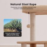Gardner Pet 65in Heavy Duty Cat Tree Tower for Large Cats, Multi-Level Cat Furniture with Replaceable Sisal Scratching Post, Hammock | Extra-Large Platform & Condo (Beige) - Image 5