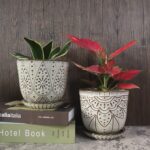 Gepege 6 Inch Beaded Ceramic Planter Set of 2 with Drainage Hole and Saucer for Plants, Indoor-Outdoor Large Round Succulent Orchid Flower Pot (Smoked Gray, Inner-pots not Larger Than 5 Inch) - Image 7