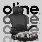 Oline ErgoAir Ergonomic Office Chair – Adjustable Lumbar Support, Flip-Up Armrests, Mesh Computer Desk Chair, Swivel Rolling Executive Gaming Chair for Home & Office (Black) - Image 9