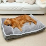 WINDRACING Large Dog Bed with Pillow for Crate Kennel, Sofa Dog Bed, Super Soft pet Bed for Medium, Jumbo, Furniture - Image 2