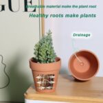 vensovo 3 Inch Terra Cotta & Terracotta Pots with Drainage - 20 Pack Clay Flowerpots, Succulent Nursery Planter Great for Plants, Crafts, Wedding Favor - Image 4