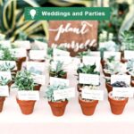 vensovo 3 Inch Terra Cotta & Terracotta Pots with Drainage - 20 Pack Clay Flowerpots, Succulent Nursery Planter Great for Plants, Crafts, Wedding Favor - Image 8