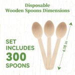 ECOLipak 300 Count Wooden Disposable Spoons, Compostable Wooden Spoons for Party, Camping, Traveling, Family Dinners - Image 3
