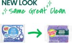 Scotch-Brite Odor Resist Non-Scratch Scrub Sponge, Dishwasher-Safe Kitchen Sponges that Resist Bacterial Odors, Multipurpose Dish Sponge for Gentle Cleaning, 6 Dish Sponges - Image 3