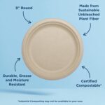 World Centric Compostable Round Paper Plates, 9" (Pack of 20), Made from Unbleached Plant Fiber, Sustainable, Heavy Duty, Grease Resistant, Microwave & Freezer Safe, PFAS Free - Image 4
