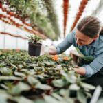 Pro Cal HGPK5PHD Round Circle 5 Gallon Wide Rim Durable Injection Molded Plastic Garden Plant Nursery Pot for Indoor or Outdoor (Set of 5) - Image 4