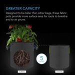 AC Infinity Heavy Duty Fabric Pots, 5 Gallon Aeration Reusable Grow Bags 5-Pack with 500G Thick Nonwoven Fabric and Multi-Purpose Rings, for Low Stress Plant Training Fruits, Vegetables, and Flowers - Image 4