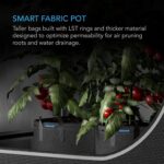 AC Infinity Heavy Duty Fabric Pots, 5 Gallon Aeration Reusable Grow Bags 5-Pack with 500G Thick Nonwoven Fabric and Multi-Purpose Rings, for Low Stress Plant Training Fruits, Vegetables, and Flowers - Image 3