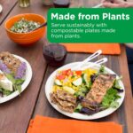 World Centric Compostable Round Paper Plates, 9" (Pack of 20), Made from Unbleached Plant Fiber, Sustainable, Heavy Duty, Grease Resistant, Microwave & Freezer Safe, PFAS Free - Image 7