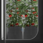 AC Infinity Heavy Duty Fabric Pots, 5 Gallon Aeration Reusable Grow Bags 5-Pack with 500G Thick Nonwoven Fabric and Multi-Purpose Rings, for Low Stress Plant Training Fruits, Vegetables, and Flowers - Image 8