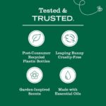 MRS. MEYER'S CLEAN DAY Liquid Dish Soap Refill, Rain Water, 48 fl. oz - Image 7