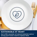 Corelle Vitrelle 4-Pieces 10.25" Glass Dinner Plates Chip & Crack Resistant Glass Dinnerware Set Plates, Winter Frost White - Image 6