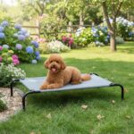 Amazon Basics Cooling Breathable Elevated Dog Bed with Durable Metal Frame, Medium, 43 x 26 x 7.5 Inch, Grey, Easy to Assemble - Image 8