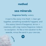 Method Gel Dish Soap, Sea Minerals Scent, Tough on Grease & Stuck-on Food, Cruelty Free Formula, Made with Recycled Plastic, 18 Fl Oz (Pack of 6) - Image 4